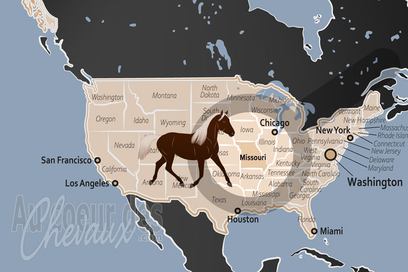 La localisation de l'�tat du Missouri aux �tats Unis