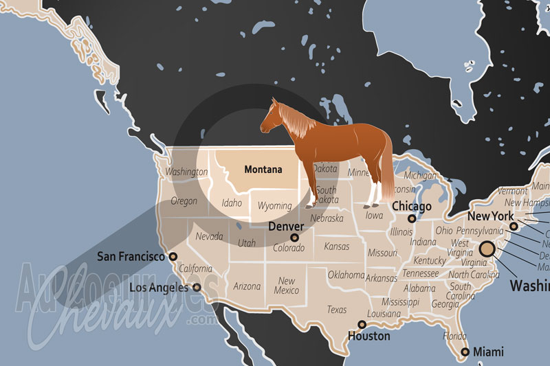La localisation de l'�tat du Montana aux �tats Unis