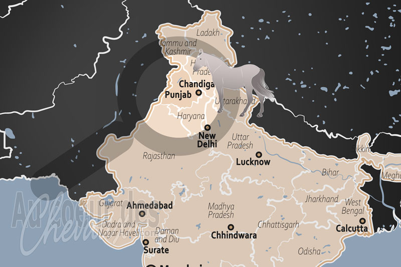 L'�tat du Pendjab, bastion des guerriers nihangs et terre d'excellence du cheval nukra