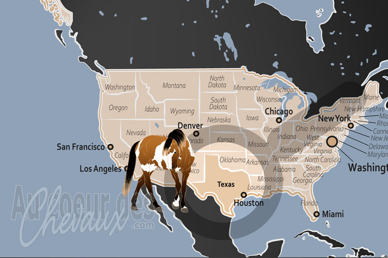 L'�tat du Texas, l'empire indomptable du cheval am�ricain