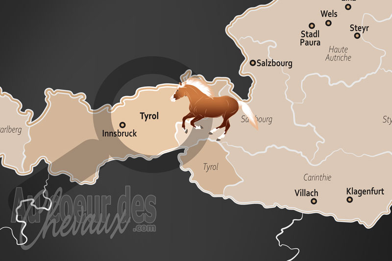 L'�tat du Tyrol, le royaume d'or au sommet des alpes