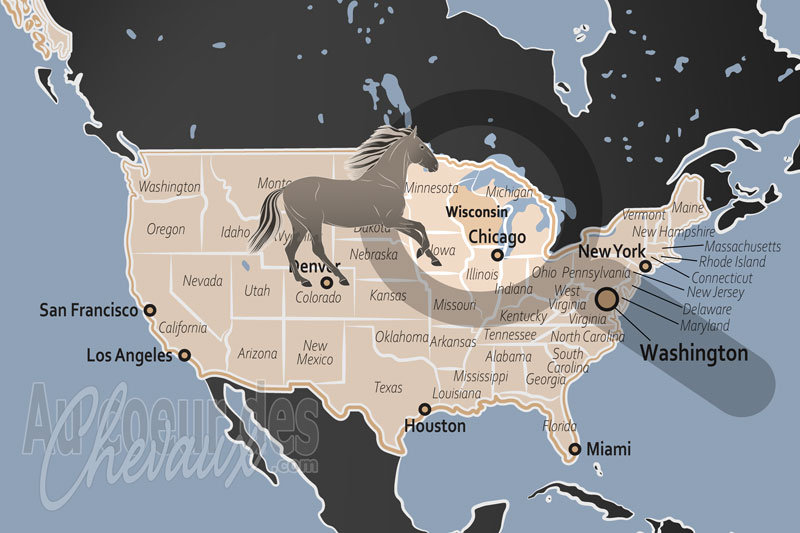 L'�tat du Wisconsin, l'h�ritage des crins au c?ur du � dairy state �