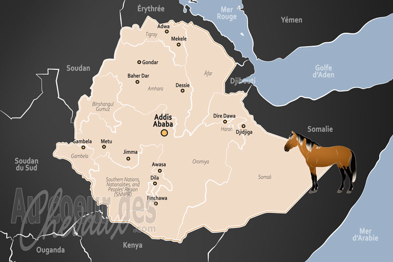 L'�thiopie, le c?ur battant de la corne de l'afrique