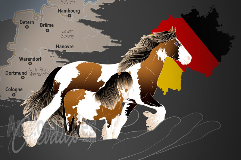 L'Association Europ�enne du Cheval Tigr� et Tachet�, un organisme de gestion du cheval allemand tachet� en allemagne