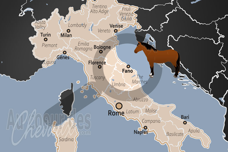 Fano, un carrefour �questre entre mer adriatique et terres de tradition