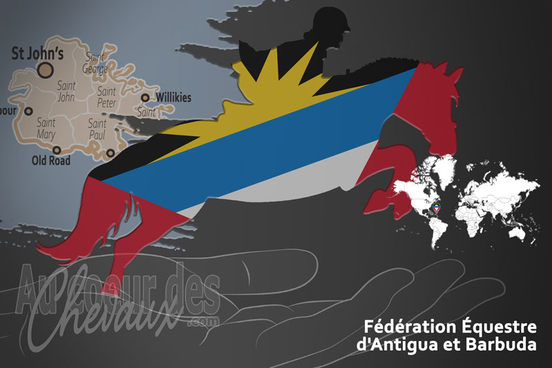 La F�d�ration �questre d'Antigua et Barbuda, le moteur du d�veloppement de l'�quitation � antigua et barbuda
