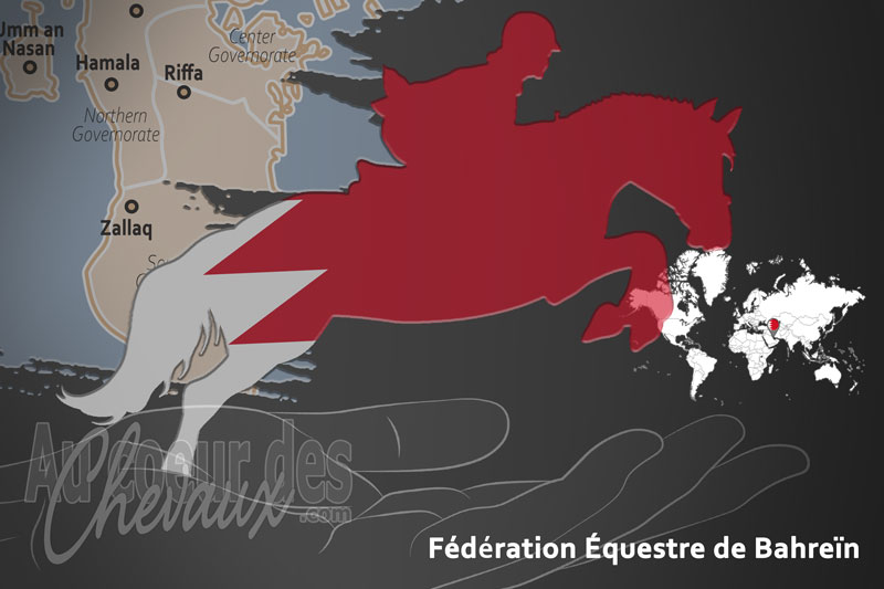 La F�d�ration �questre de Bahre�n, le moteur du d�veloppement de l'�quitation � bahre�n
