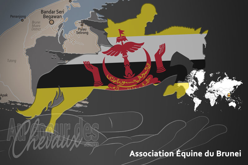 L'Association �quine du Brunei, le moteur du d�veloppement de l'�quitation � brunei