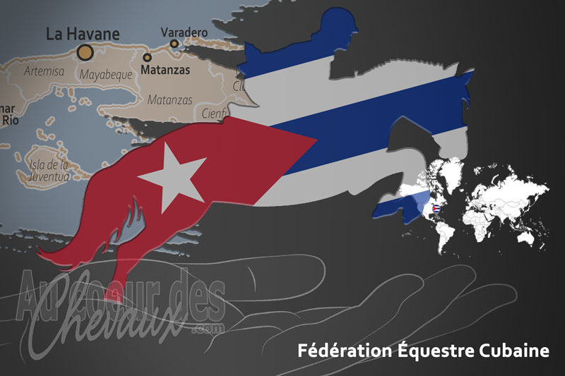 La F�d�ration �questre Cubaine, le moteur du d�veloppement de l'�quitation � cuba
