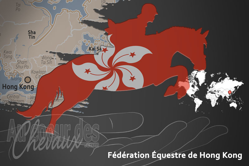 La F�d�ration �questre de Hong Kong, le moteur du d�veloppement de l'�quitation � hong kong