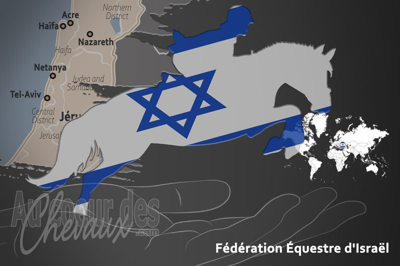 La F�d�ration �questre d'Isra�l, le moteur du d�veloppement de l'�quitation en isra�l