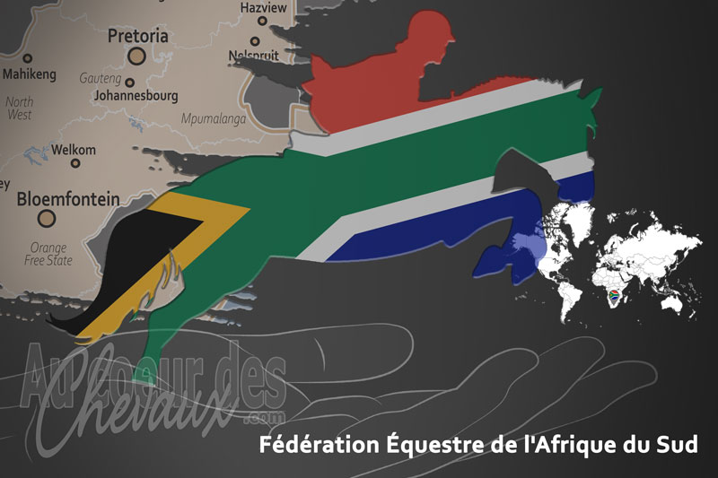 La F�d�ration �questre de l'Afrique du Sud, le moteur du d�veloppement de l'�quitation en afrique du sud