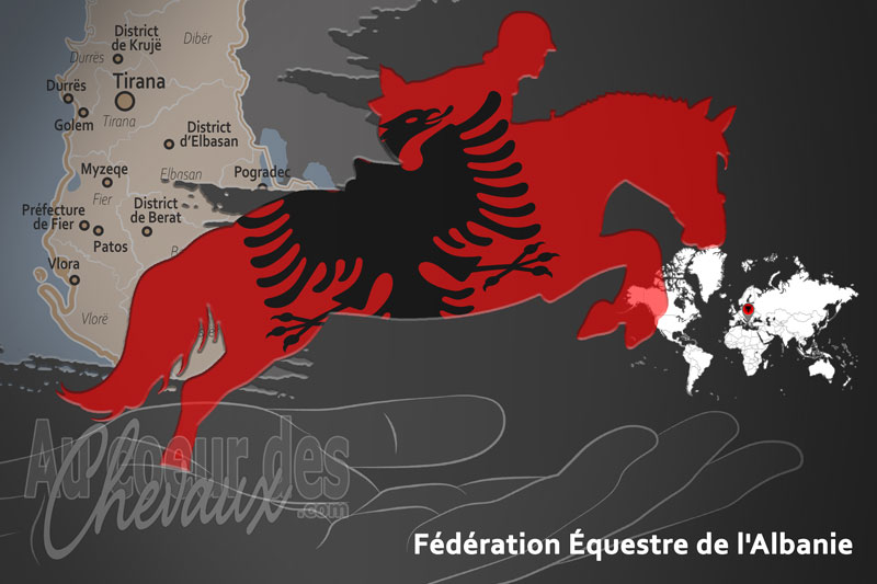 La F�d�ration �questre de l'Albanie, le moteur du d�veloppement de l'�quitation en albanie