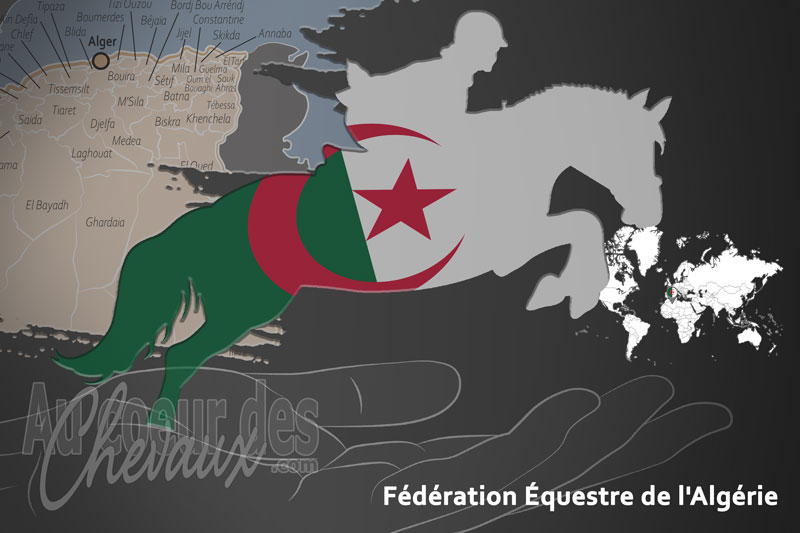 La F�d�ration �questre de l'Alg�rie, le moteur du d�veloppement de l'�quitation en alg�rie