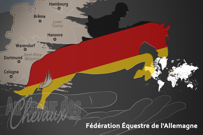 La F�d�ration �questre de l'Allemagne, le moteur du d�veloppement de l'�quitation en allemagne