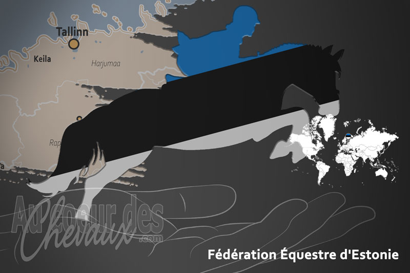 La F�d�ration �questre d'Estonie, le moteur du d�veloppement de l'�quitation en estonie