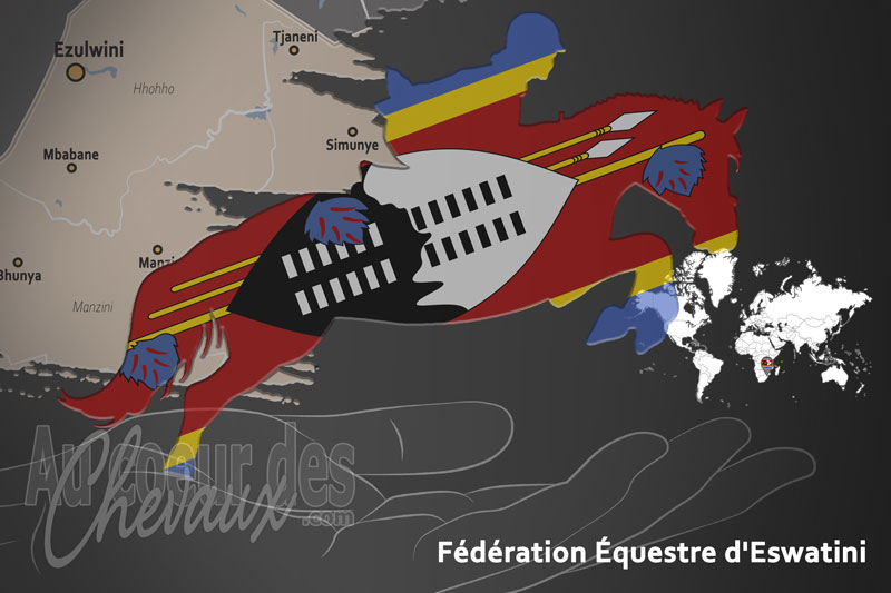 La F�d�ration �questre d'Eswatini, le moteur du d�veloppement de l'�quitation en eswatini