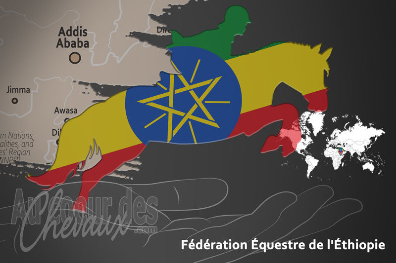 La F�d�ration �questre de l'�thiopie, le moteur du d�veloppement de l'�quitation en �thiopie