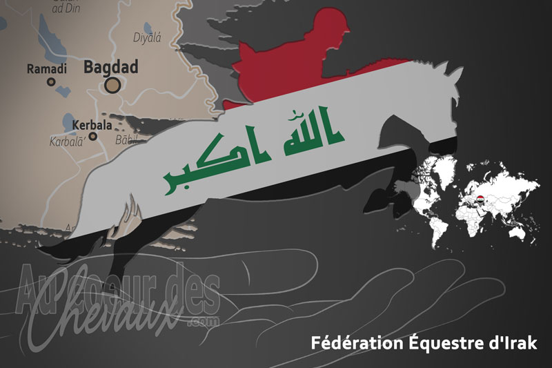 La F�d�ration �questre d'Irak, le moteur du d�veloppement de l'�quitation en irak