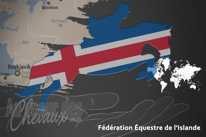 La F�d�ration �questre de l'Islande, le moteur du d�veloppement de l'�quitation en islande