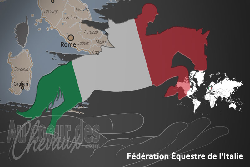 La F�d�ration �questre de l'Italie, le moteur du d�veloppement de l'�quitation en italie
