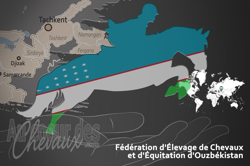 La F�d�ration d'�levage de Chevaux et d'�quitation d'Ouzb�kistan, le moteur du d�veloppement de l'�quitation en ouzb�kistan
