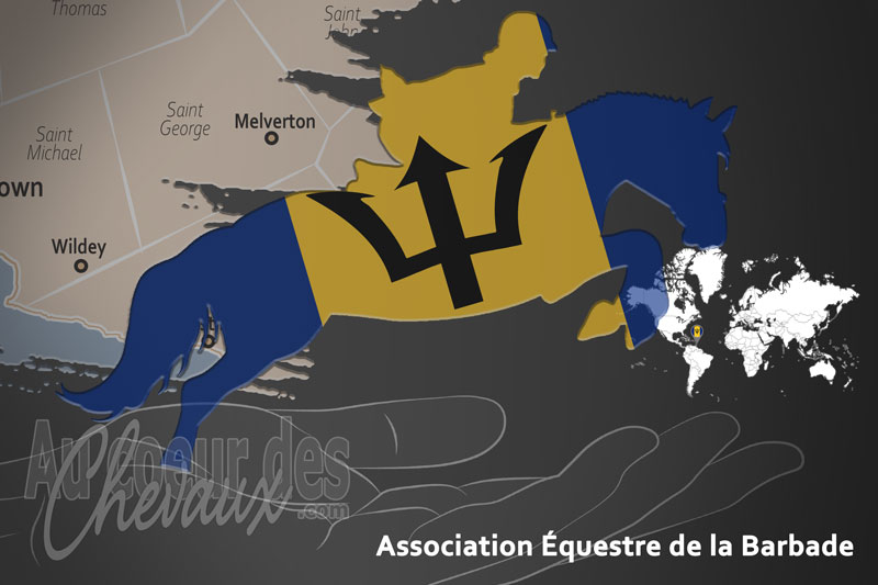 L'Association �questre de la Barbade, le moteur du d�veloppement de l'�quitation � barbade