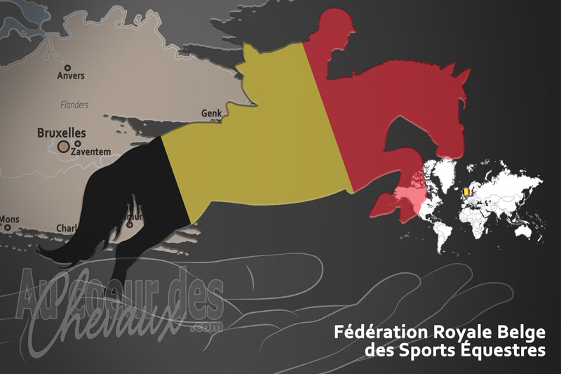 La F�d�ration Royale Belge des Sports �questres, le moteur du d�veloppement de l'�quitation en belgique