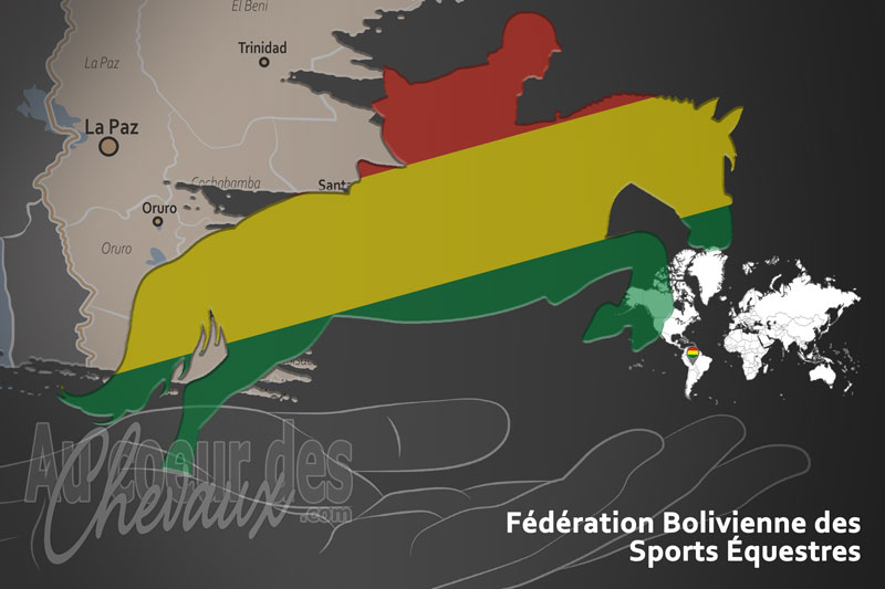La F�d�ration Bolivienne des Sports �questres, le moteur du d�veloppement de l'�quitation en bolivie