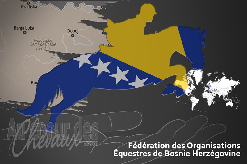 La F�d�ration des Organisations �questres de Bosnie Herz�govine, le moteur du d�veloppement de l'�quitation en bosnie herz�govine