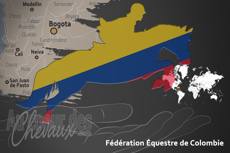 La F�d�ration �questre de Colombie, le moteur du d�veloppement de l'�quitation en colombie