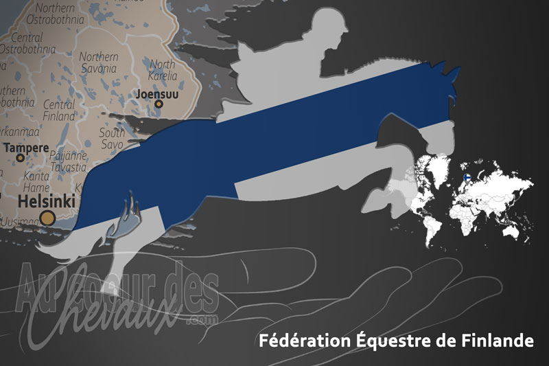 La F�d�ration �questre de Finlande, le moteur du d�veloppement de l'�quitation en finlande