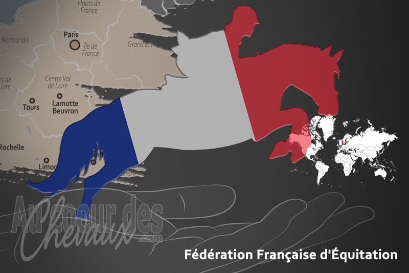 La F�d�ration Fran�aise d'�quitation, le moteur du d�veloppement de l'�quitation en france