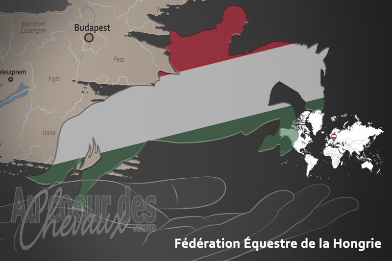 La F�d�ration �questre de la Hongrie, le moteur du d�veloppement de l'�quitation en hongrie