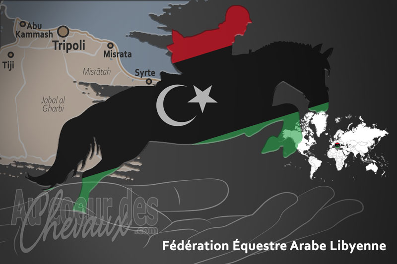 La F�d�ration �questre Arabe Libyenne, le moteur du d�veloppement de l'�quitation en libye
