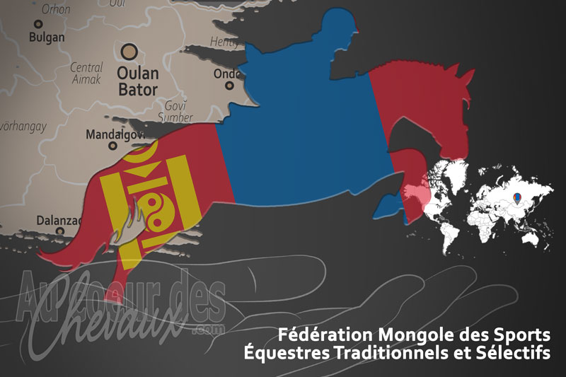 Le drapeau de l'organisation de la F�d�ration Mongole des Sports �questres Traditionnels et S�lectifs en Mongolie