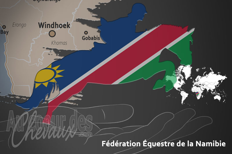 La F�d�ration �questre de la Namibie, le moteur du d�veloppement de l'�quitation en namibie