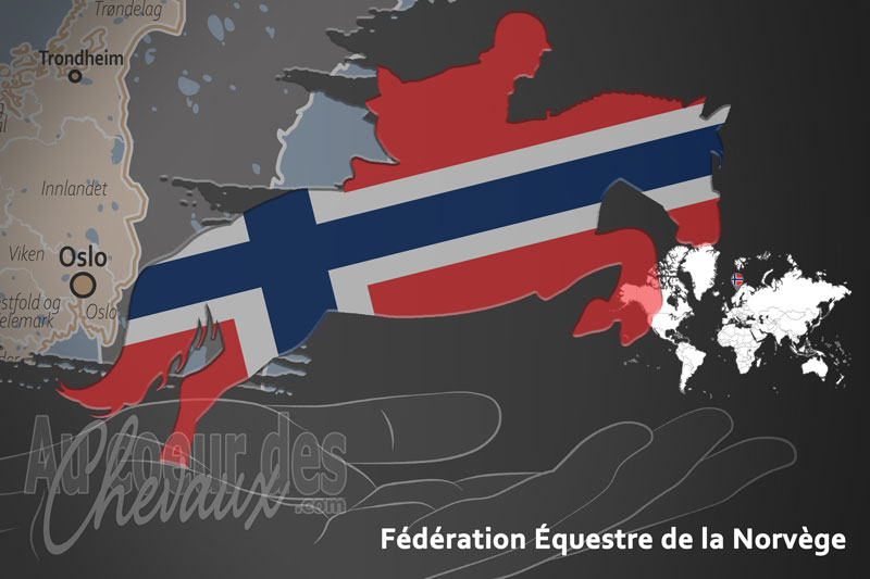 La F�d�ration �questre de la Norv�ge, le moteur du d�veloppement de l'�quitation en norv�ge