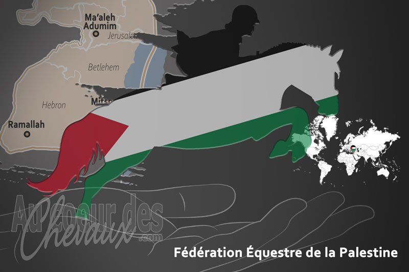 La F�d�ration �questre de la Palestine, le moteur du d�veloppement de l'�quitation en palestine