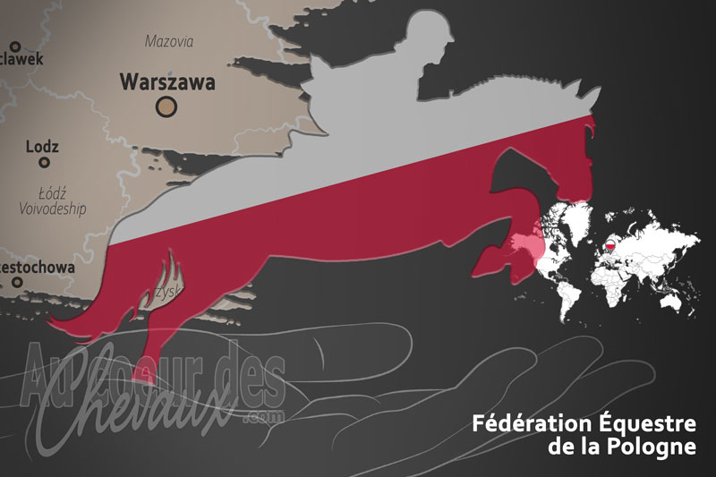 La F�d�ration �questre de la Pologne, le moteur du d�veloppement de l'�quitation en pologne