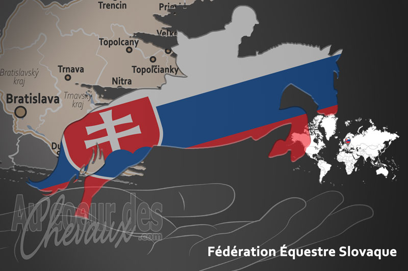 Le drapeau du pays de la F�d�ration �questre de la Slovaquie