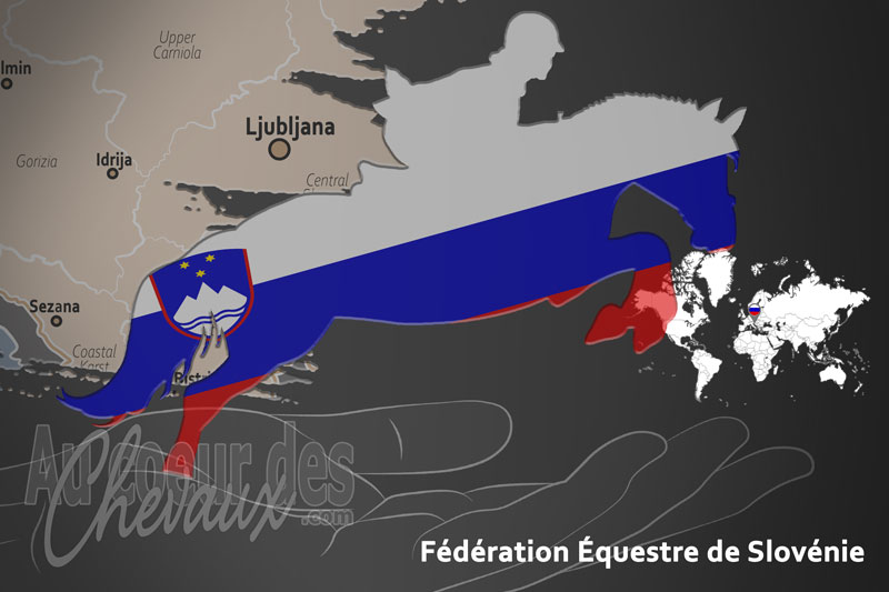 La F�d�ration �questre de Slov�nie, le moteur du d�veloppement de l'�quitation en slov�nie