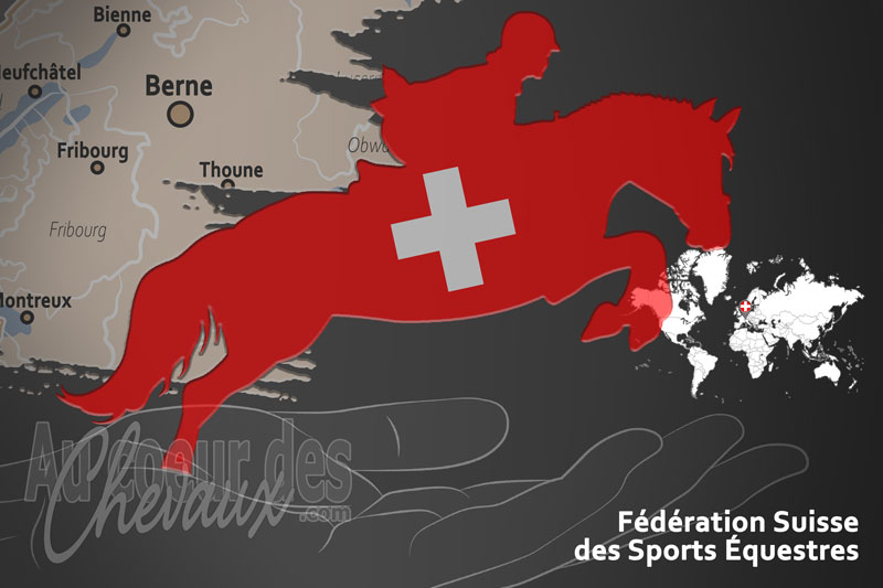 Le drapeau du pays de la F�d�ration �questre de la Suisse