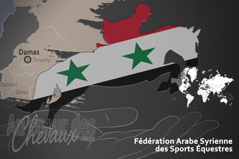 La F�d�ration Arabe Syrienne des Sports �questres, le moteur du d�veloppement du cheval et de l'�quitation en syrie