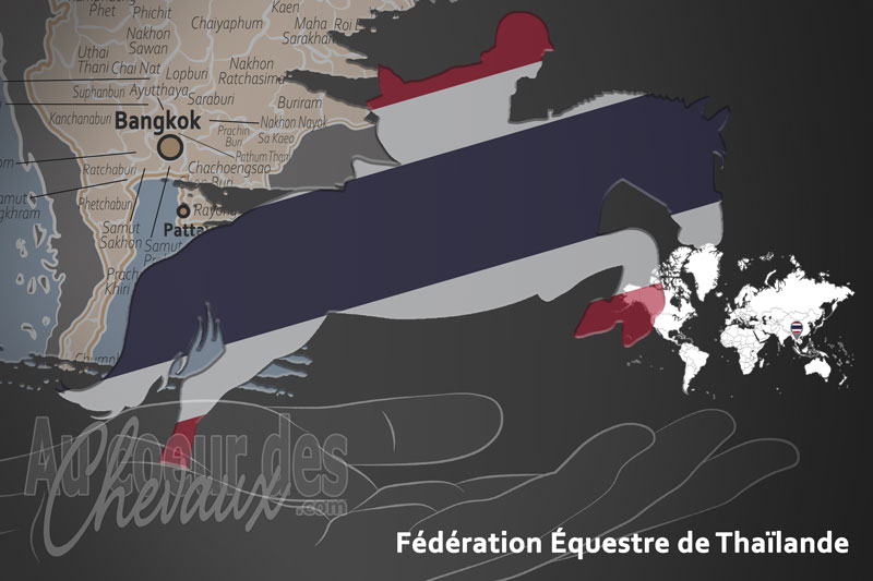 La F�d�ration �questre de Tha�lande, le moteur du d�veloppement de l'�quitation en tha�lande
