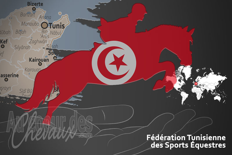 Le drapeau du pays de la F�d�ration �questre de la Tunisie