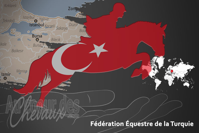 La F�d�ration �questre de la Turquie, le moteur du d�veloppement de l'�quitation en turquie