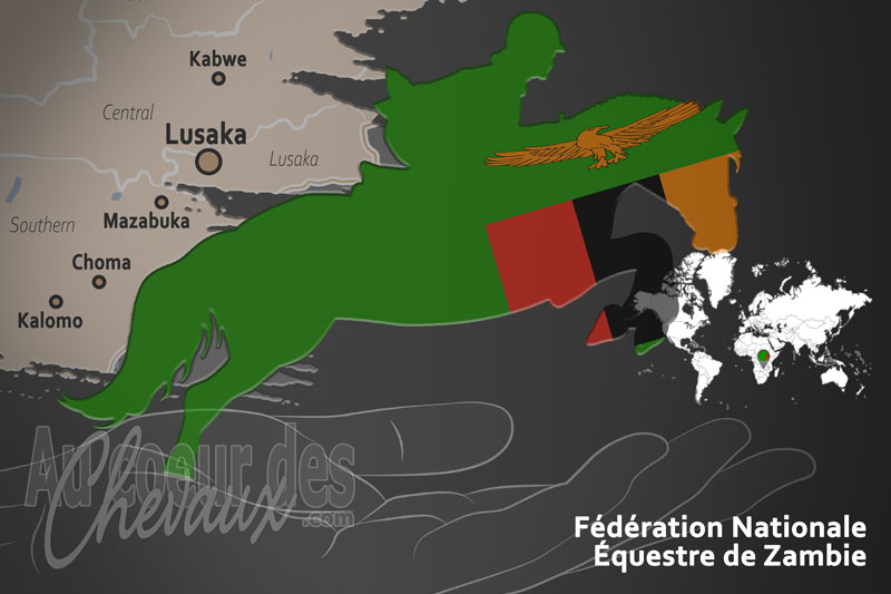 Le drapeau du pays de la F�d�ration �questre de la Zambie