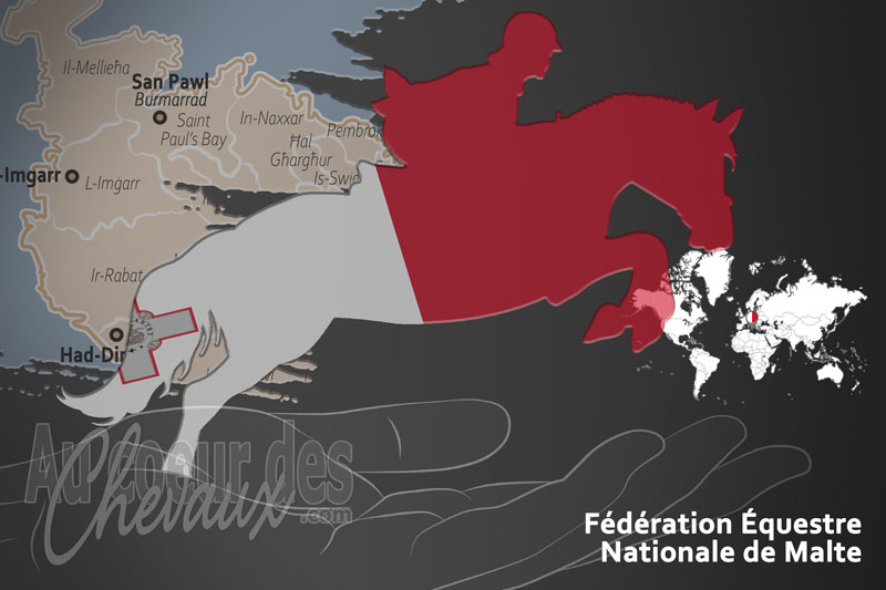 Le drapeau du pays de la F�d�ration �questre de Malte