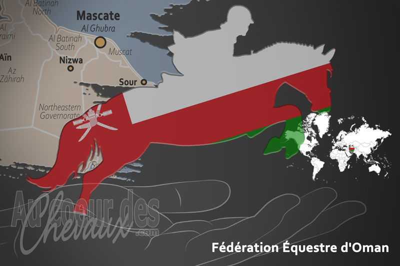 La F�d�ration �questre d'Oman, le moteur du d�veloppement de l'�quitation � oman